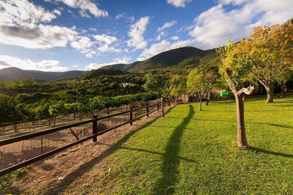 Finca El Huertezuelo El Bosque Exterior foto